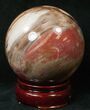 Colorful Petrified Wood Sphere #17878-1
